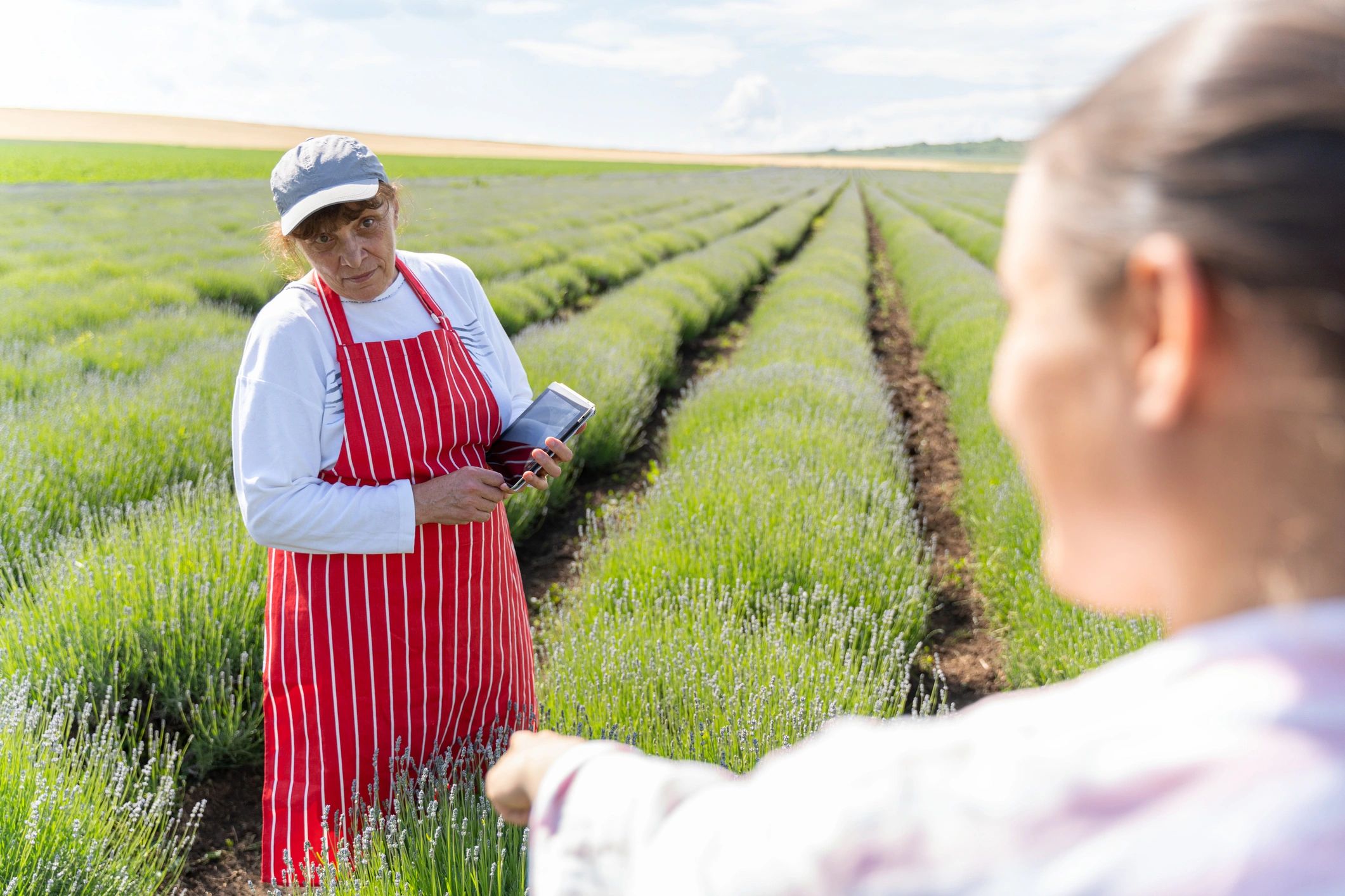 Landowners discussing property sale